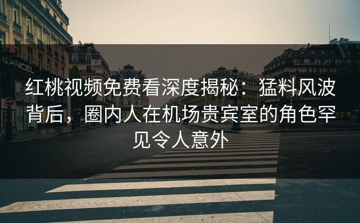 红桃视频免费看深度揭秘:猛料风波背后,圈内人在机场贵宾室的角色罕见令人意外