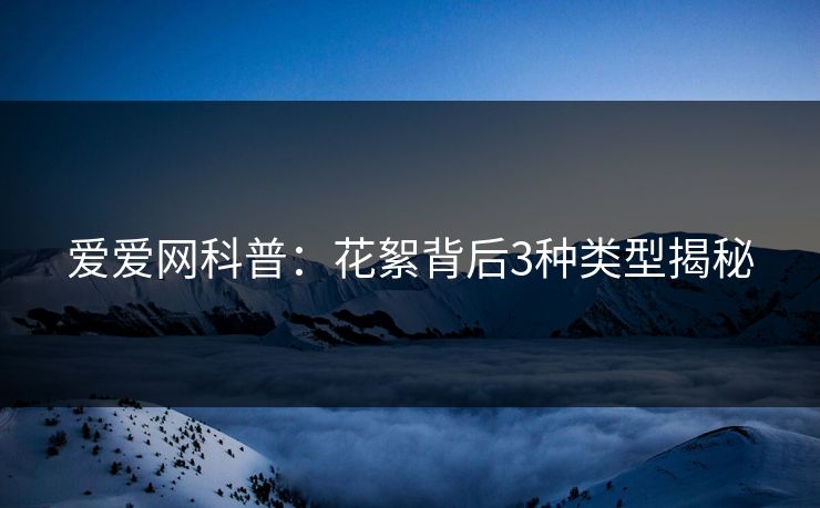 爱爱网科普:花絮背后3种类型揭秘