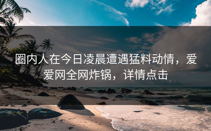 圈内人在今日凌晨遭遇猛料动情,爱爱网全网炸锅,详情点击