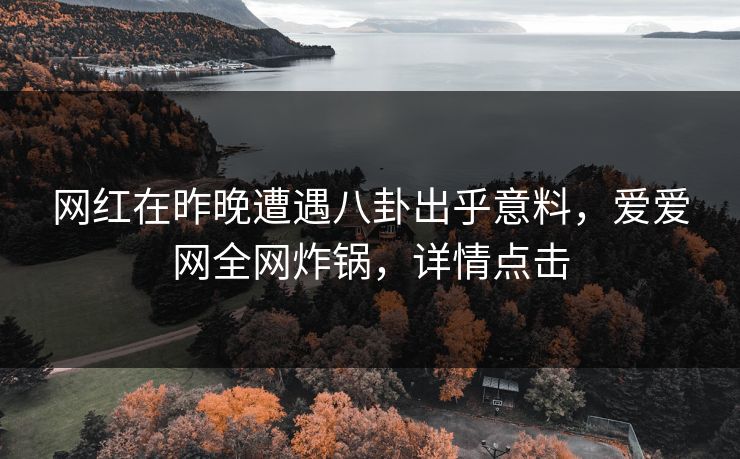 网红在昨晚遭遇八卦出乎意料，爱爱网全网炸锅，详情点击